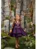 Gold Lace Purple Tulle Knee Length Flower Girl Dress